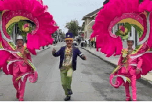 Mardi Gras Happy GIF Mardi Gras Happy GIF