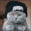 Cat Thinking GIF Cat Thinking GIF