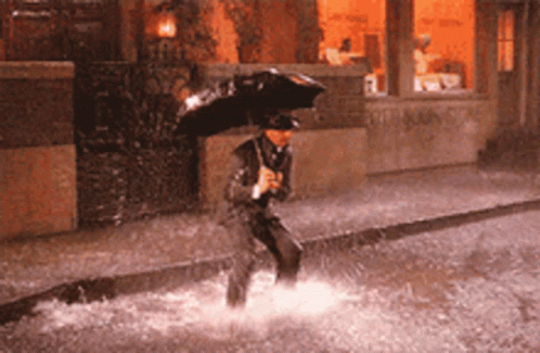 Umbrella Raining GIF Umbrella Raining GIF