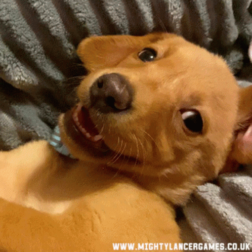 Mighty Lancer Games Wink GIF Mighty Lancer Games Wink GIF