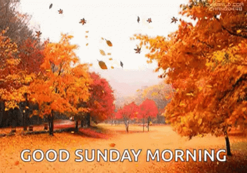 Autumn Leaves GIF Autumn Leaves GIF