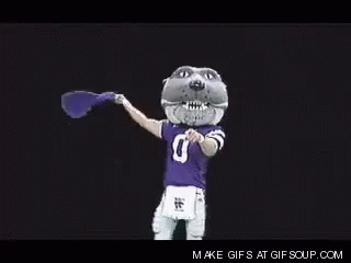 Ksu Kansas State University GIF Ksu Kansas State University GIF