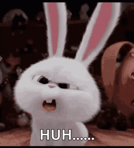 Huh Rabbit GIF Huh Rabbit GIF