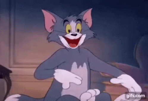 Tom And Jerry Tom The Cat GIF
