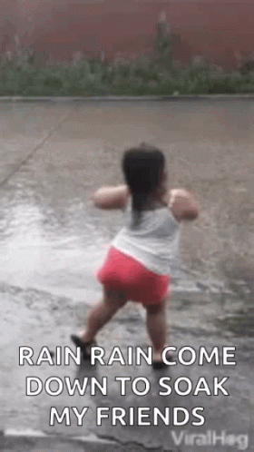 Rain Dance Rain GIF Rain Dance Rain GIF