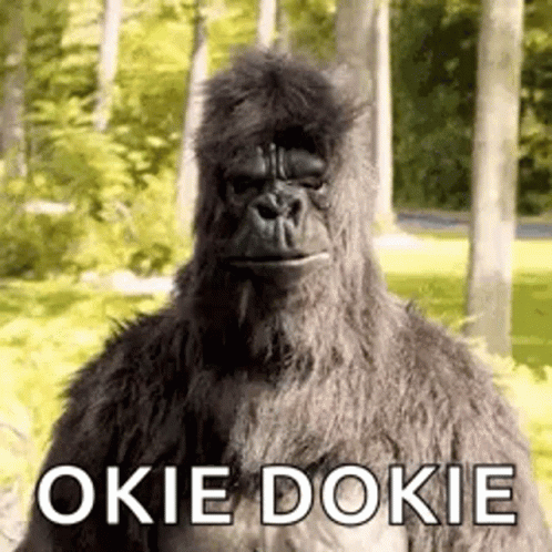 Ok Okie GIF Ok Okie GIF