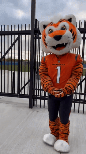 Cincinnati Bengals Griddy GIF Cincinnati Bengals Griddy GIF