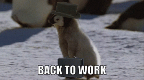Back To Work GIF Back To Work GIF