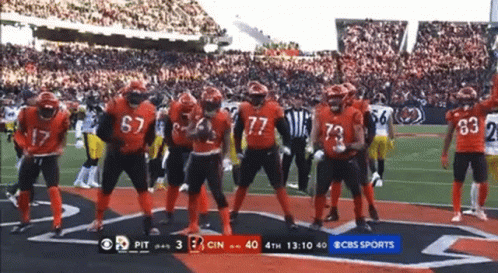 Cincinnati Bengals GIF Cincinnati Bengals GIF