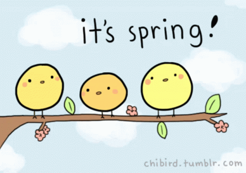 Spring Birds GIF