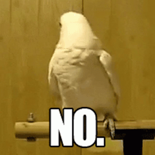 No No No Way GIF No No No Way GIF