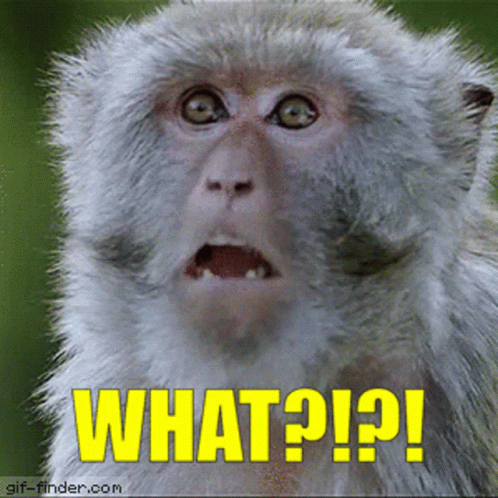 What Elias What GIF What Elias What GIF