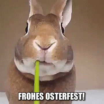 Frohes Osterfest! GIF Frohes Osterfest! GIF