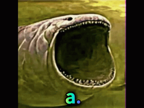 A Diyen Köpekbalığı A Diyen Kopekbalıgı GIF A Diyen Köpekbalığı A Diyen Kopekbalıgı GIF