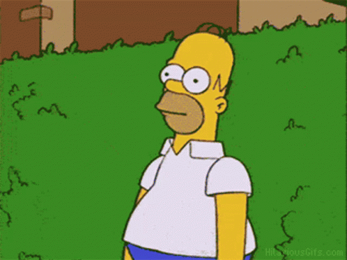 The Simpsons Homer GIF The Simpsons Homer GIF