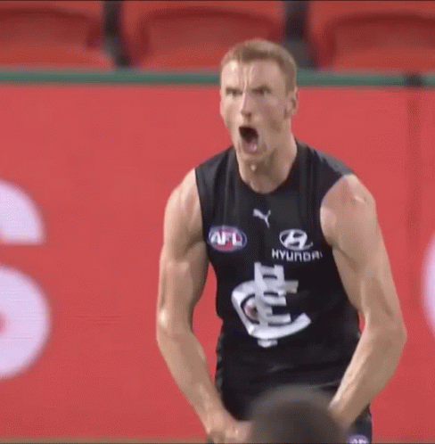 Matt Cottrell Carlton GIF Matt Cottrell Carlton GIF