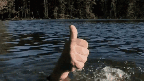 Thumbs Up GIF Thumbs Up GIF