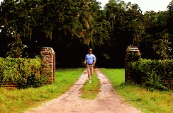 Forrest Gump Running GIF Forrest Gump Running GIF