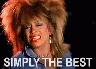Simply The Best Tina Turner GIF Simply The Best Tina Turner GIF