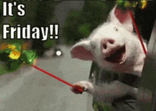 Itsfriday GIF Itsfriday GIF
