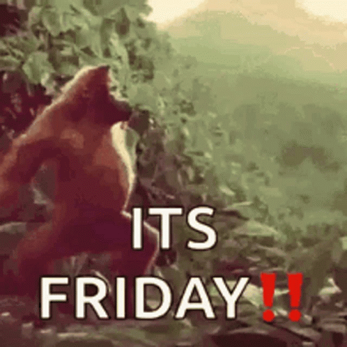 Its Friday Gorilla GIF Its Friday Gorilla GIF