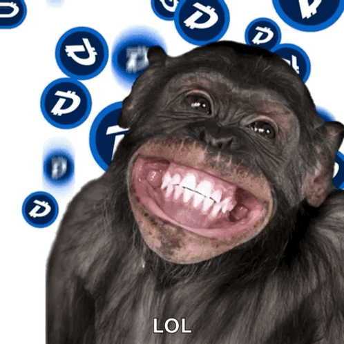 Monkey Ape GIF Monkey Ape GIF