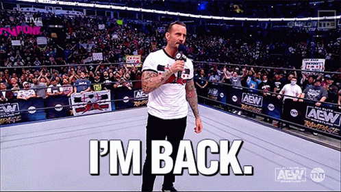 Cm Punk Im Back GIF Cm Punk Im Back GIF