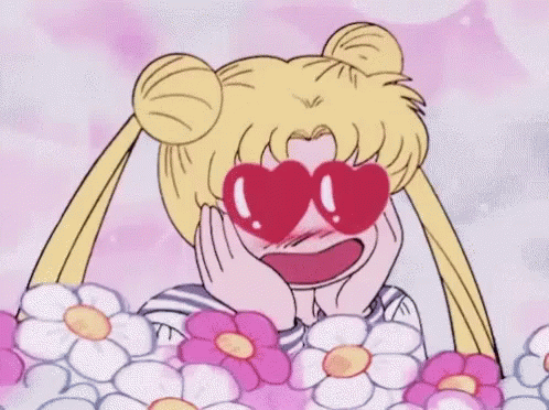 Sailor Moon GIF Sailor Moon GIF