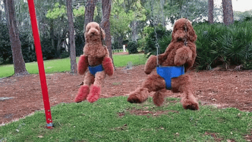 Swinging Dogs GIF Swinging Dogs GIF
