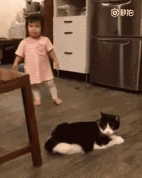 Cat Cat Tripping Girl GIF - Cat CatTrippingGirl Prank GIFs
