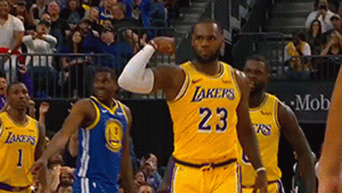 Los Angeles Lakers Lebron James GIF Los Angeles Lakers Lebron James GIF