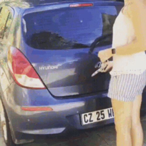 Dogs Cars GIF Dogs Cars GIF