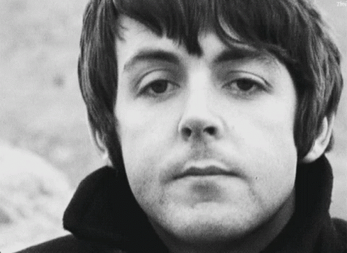Paul Mc Cartney The Beatles GIF