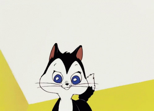 Cat Cat Angry GIF