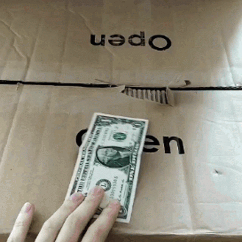 Cat Salary GIF Cat Salary GIF