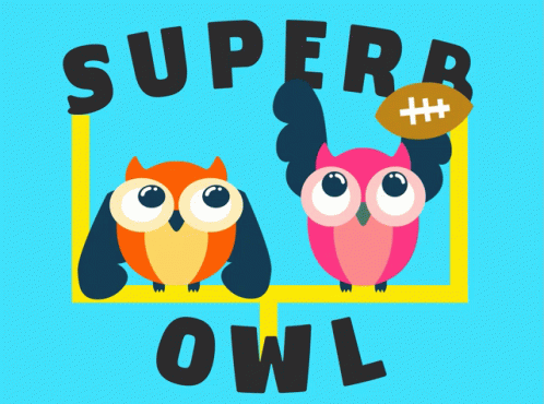Superb Owl Football GIF