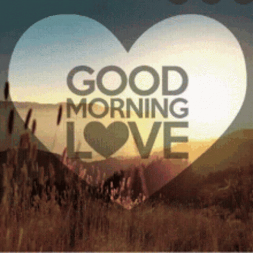 Good Morning Good Morning Love GIF Good Morning Good Morning Love GIF