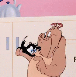 Hug Cat GIF Hug Cat GIF