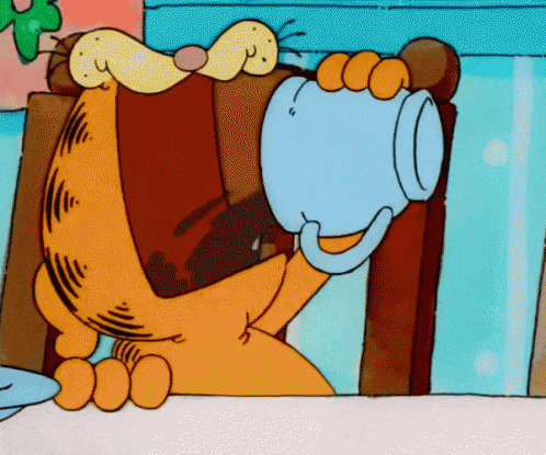 Garfield Cats GIF Garfield Cats GIF
