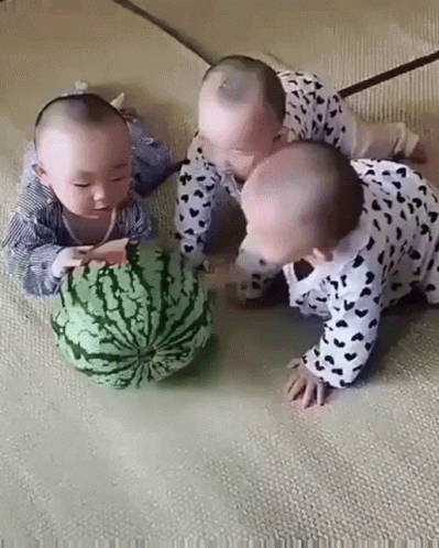 Babies Fight GIF Babies Fight GIF