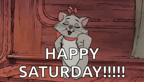 Cute Cat GIF Cute Cat GIF