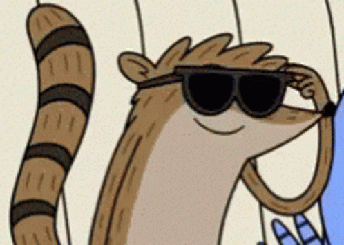 Rigby Cool Rigby GIF Rigby Cool Rigby GIF