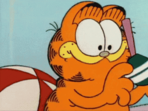 Garfield Shades On GIF Garfield Shades On GIF