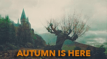 First Day Of Autumn First Day Of Fall GIF