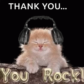 You Rock Cat GIF You Rock Cat GIF