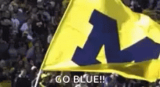 Michigan Wolverines Flag GIF Michigan Wolverines Flag GIF