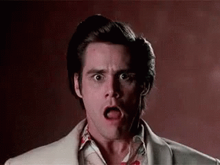 Omg Shocked GIF Omg Shocked GIF