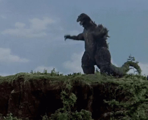 Excited Dance GIF Excited Dance GIF