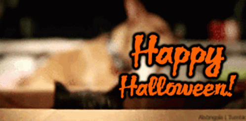 Happy Halloween Black Cat GIF Happy Halloween Black Cat GIF