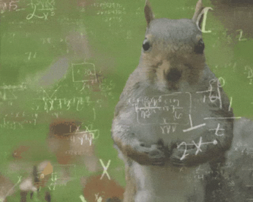 Squirrel Brain GIF Squirrel Brain GIF
